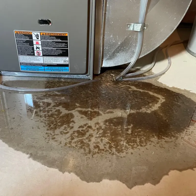 Appliance Leak Cleanup in Alfalfa County, OK